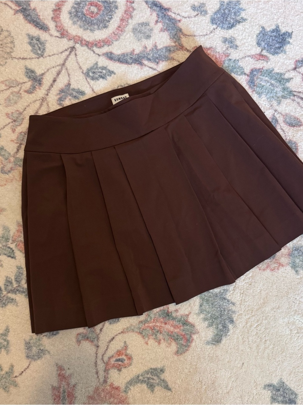 Aritzia Pleated Mini Skirt in Dark Brown
